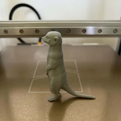 Tượng chồn Meerkat - Người bảo vệ tò mò của sa mạc