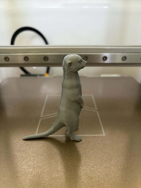 Tượng chồn Meerkat - Người bảo vệ tò mò của sa mạc - Image 5