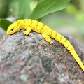 Mô hình thằn lằn sa mạc Articulated linh hoạt - Thumbnail 4
