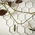 Giá đỡ cây leo gắn tường hình hoa - Thumbnail 5