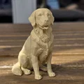 Mô hình chú chó Golden Retriever - Cậu bé ngoan nhất - Thumbnail 2