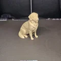 Mô hình chú chó Golden Retriever - Cậu bé ngoan nhất - Thumbnail 4
