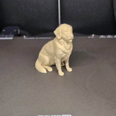 Mô hình chú chó Golden Retriever - Cậu bé ngoan nhất