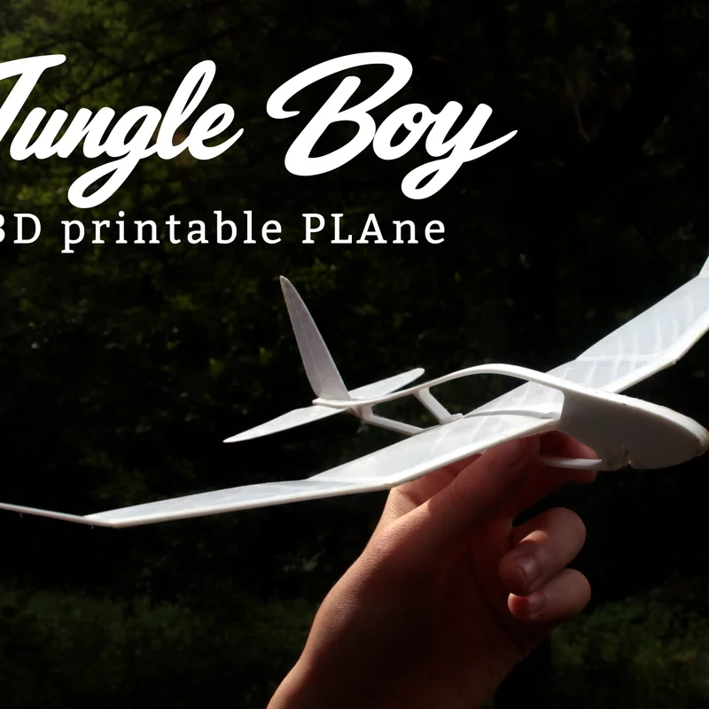 Jungle Boy - Máy bay mô hình in 3D cực chất