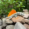 Mô hình Thằn lằn khớp nối Articulated Lizard (In không cần support) - Thumbnail 1