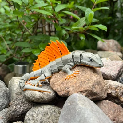 Mô hình Thằn lằn khớp nối Articulated Lizard (In không cần support)