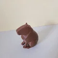 Mô hình Capybara phong cách hiện đại - Thumbnail 3