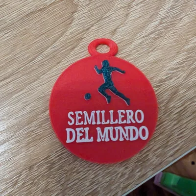 Mô hình huy hiệu Argentinos Juniors: Semillero del mundo (3D Printing)
