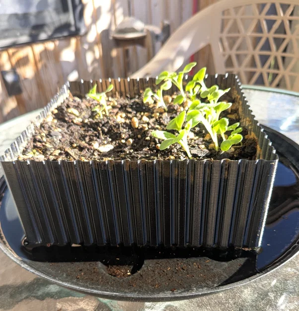 Chậu trồng xà lách dáng phẳng một nửa (Lettuce Half Flat Planter) - Image 1