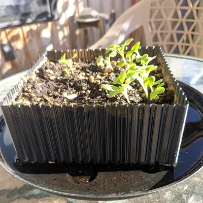 Chậu trồng xà lách dáng phẳng một nửa (Lettuce Half Flat Planter)