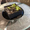 Chậu trồng xà lách dáng phẳng một nửa (Lettuce Half Flat Planter) - Thumbnail 2