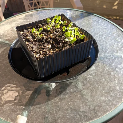 Chậu trồng xà lách dáng phẳng một nửa (Lettuce Half Flat Planter)