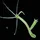 Jonetin_3703707