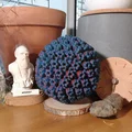 Mô hình 3D Virus Epstein-Barr từ ảnh Cryo-Electron - Thumbnail 3