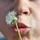 LargeMollusk_1091637