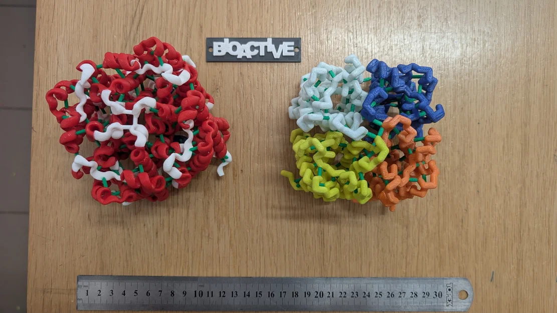 Mô hình 3D đa sắc của kênh dẫn nước Aquaporin ở thực vật - Image 1