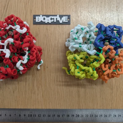 Mô hình 3D đa sắc của kênh dẫn nước Aquaporin ở thực vật