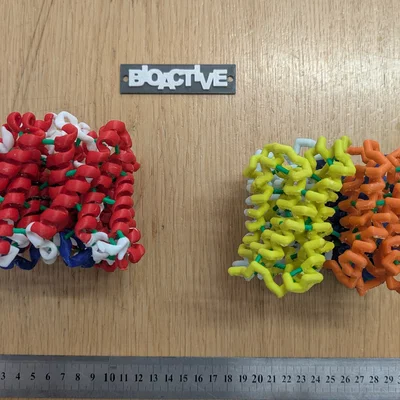 Mô hình 3D đa sắc của kênh dẫn nước Aquaporin ở thực vật
