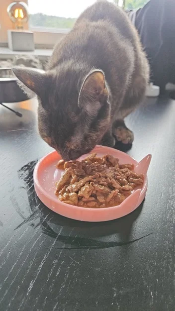 Bát đựng thức ăn cho mèo (Cat plate) - Image 2