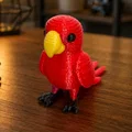 Mô hình chú vẹt đan len đáng yêu - File in 3D - Thumbnail 1