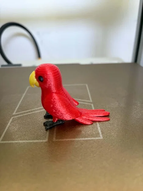 Mô hình chú vẹt đan len đáng yêu - File in 3D - Image 3
