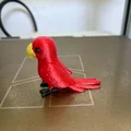Mô hình chú vẹt đan len đáng yêu - File in 3D - Thumbnail 3