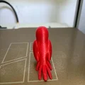 Mô hình chú vẹt đan len đáng yêu - File in 3D - Thumbnail 5