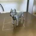 Mô hình Pit Bull sống động với chi tiết giải phẫu sắc nét - Thumbnail 2