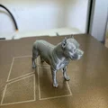 Mô hình Pit Bull sống động với chi tiết giải phẫu sắc nét - Thumbnail 4