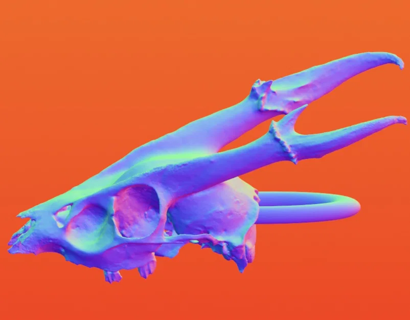 Mẫu in 3D khuyên tai đầu lâu động vật phong cách Goth độc đáo - Image 1
