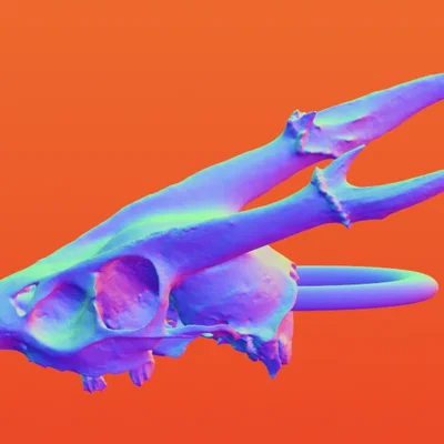 Mẫu in 3D khuyên tai đầu lâu động vật phong cách Goth độc đáo