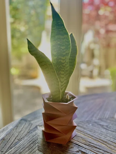 Mẫu in 3D chậu cây Hex Spiral Vase trang trí không gian hiện đại - Image 1
