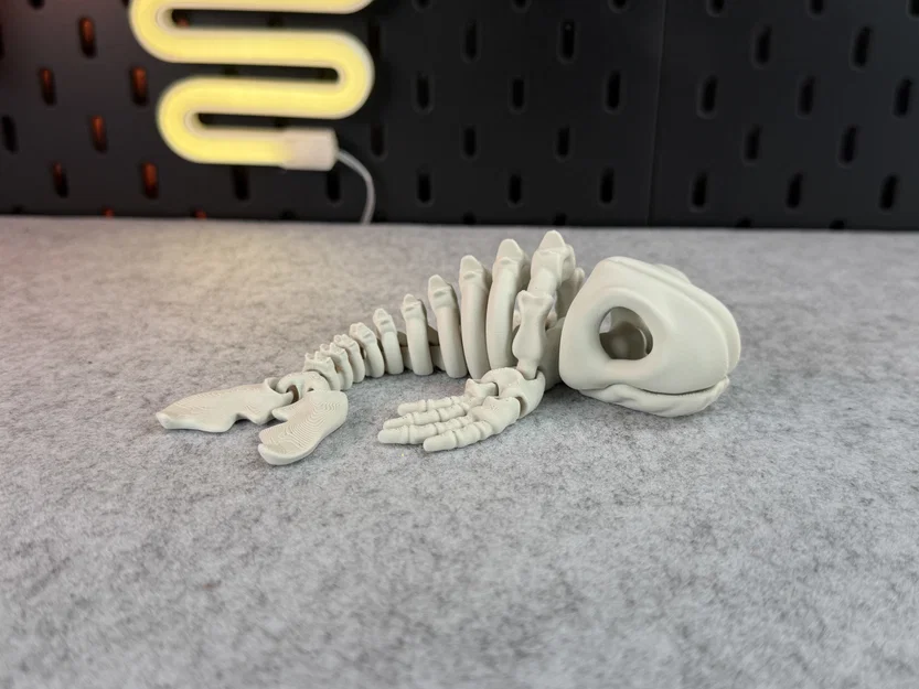 Mô hình bộ xương cá voi khớp nối (Articulated Skeleton Whale) - Image 1