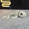 Mô hình bộ xương cá voi khớp nối (Articulated Skeleton Whale) - Thumbnail 1