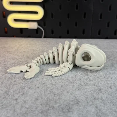 Mô hình bộ xương cá voi khớp nối (Articulated Skeleton Whale)