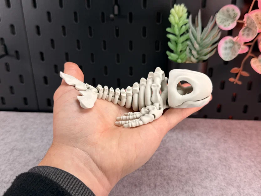 Mô hình bộ xương cá voi khớp nối (Articulated Skeleton Whale) - Image 2