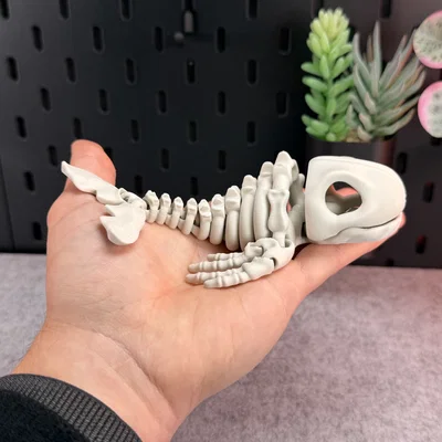 Mô hình bộ xương cá voi khớp nối (Articulated Skeleton Whale)