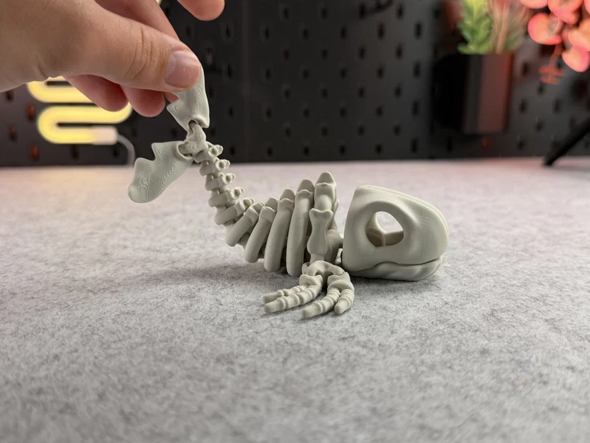 Mô hình bộ xương cá voi khớp nối (Articulated Skeleton Whale) - Image 4