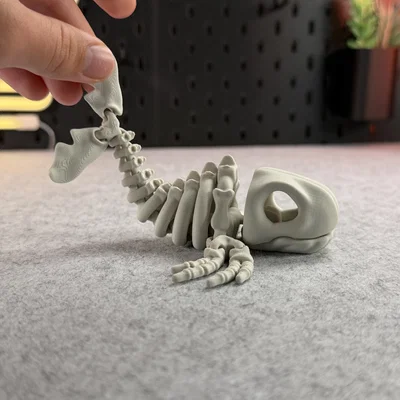Mô hình bộ xương cá voi khớp nối (Articulated Skeleton Whale)