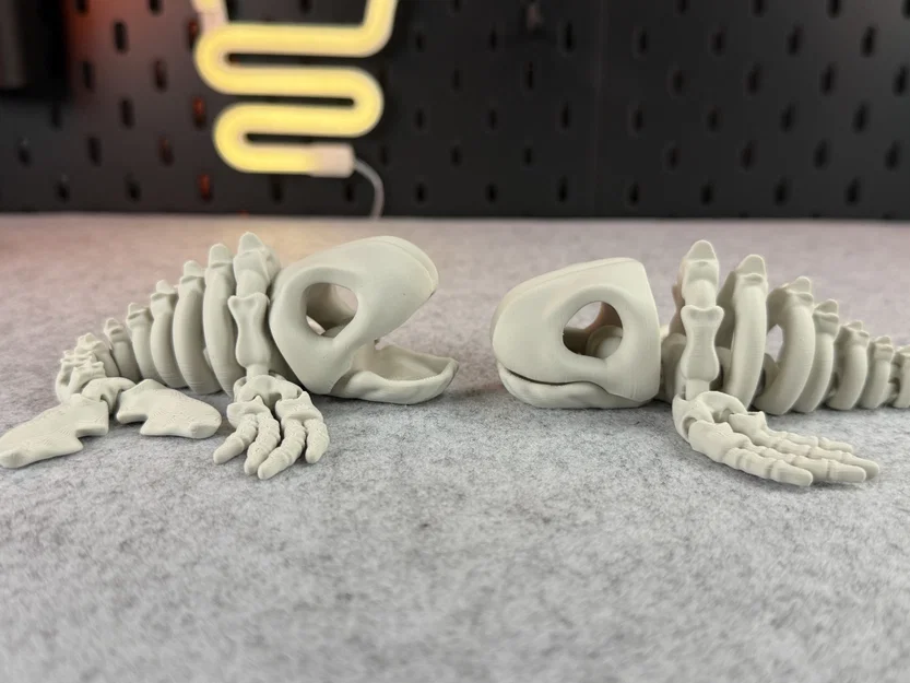 Mô hình bộ xương cá voi khớp nối (Articulated Skeleton Whale) - Image 5