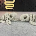 Mô hình bộ xương cá voi khớp nối (Articulated Skeleton Whale) - Thumbnail 5
