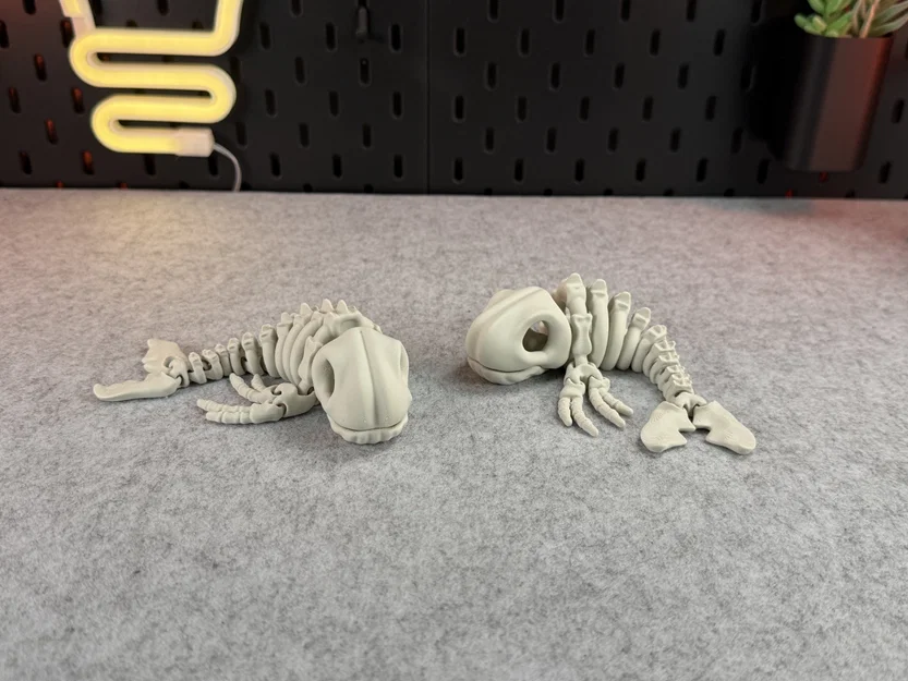 Mô hình bộ xương cá voi khớp nối (Articulated Skeleton Whale) - Image 6