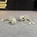 Mô hình bộ xương cá voi khớp nối (Articulated Skeleton Whale) - Thumbnail 6