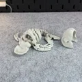Mô hình bộ xương cá voi khớp nối (Articulated Skeleton Whale) - Thumbnail 7