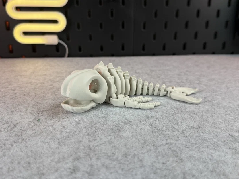 Mô hình bộ xương cá voi khớp nối (Articulated Skeleton Whale) - Image 8