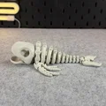 Mô hình bộ xương cá voi khớp nối (Articulated Skeleton Whale) - Thumbnail 10