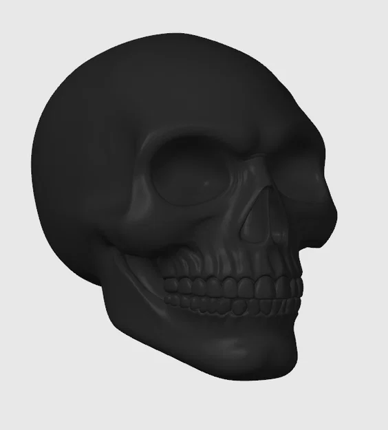 Mô hình đầu lâu (Skull) trang trí - Image 1