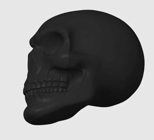 Mô hình đầu lâu (Skull) trang trí - Image 2