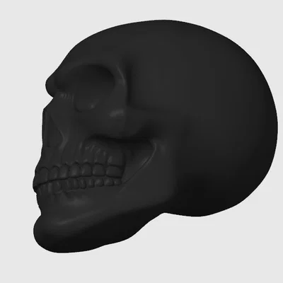 Mô hình đầu lâu (Skull) trang trí
