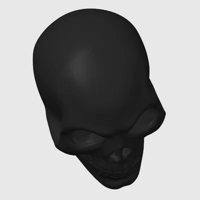 Mô hình đầu lâu (Skull) trang trí